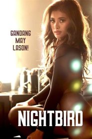 ดูหนังออนไลน์ Nightbird (2023) ไนท์เบิร์ด